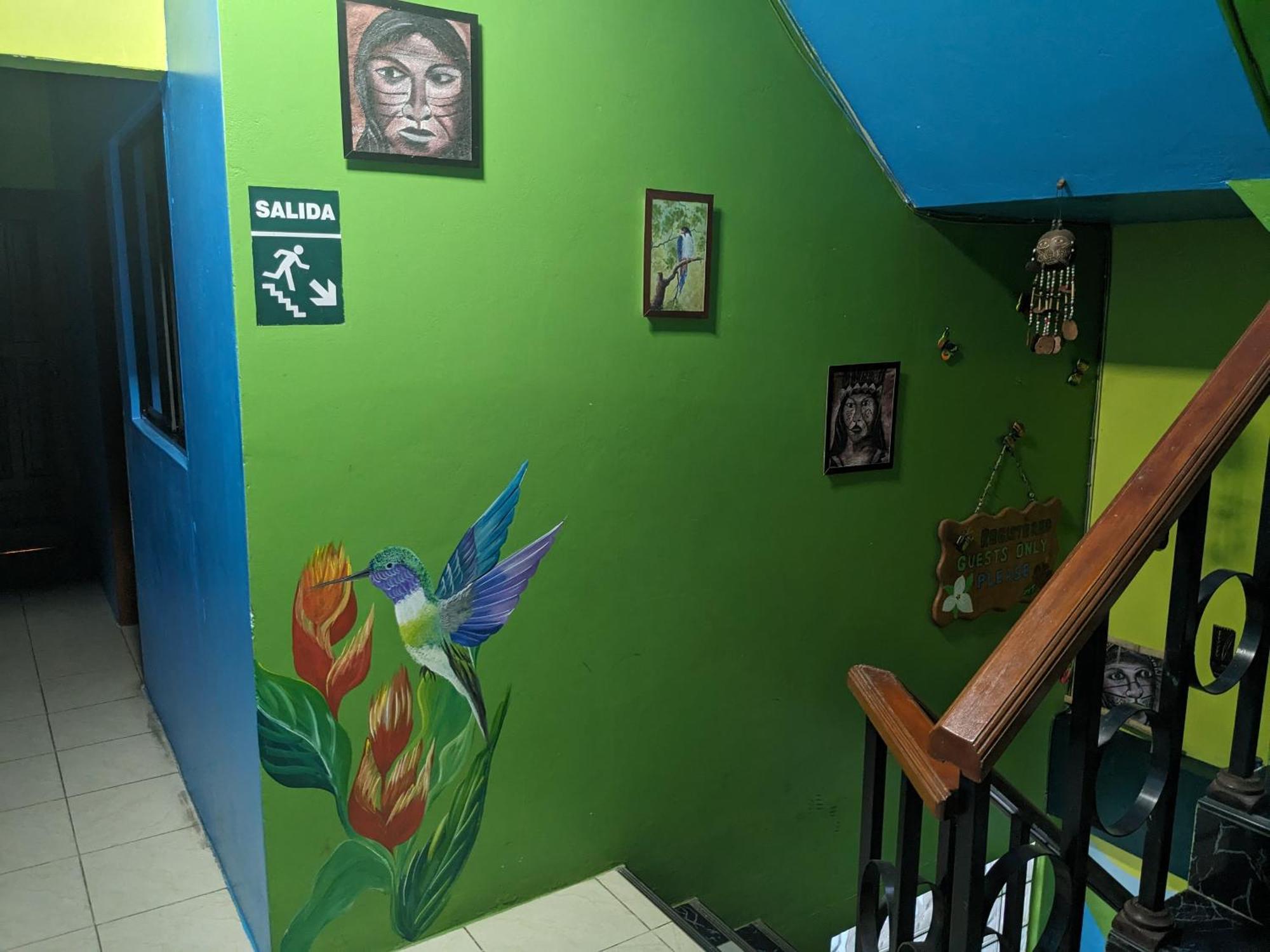 Amazon Dream Hostel With Ac And Starlink Икитос Экстерьер фото